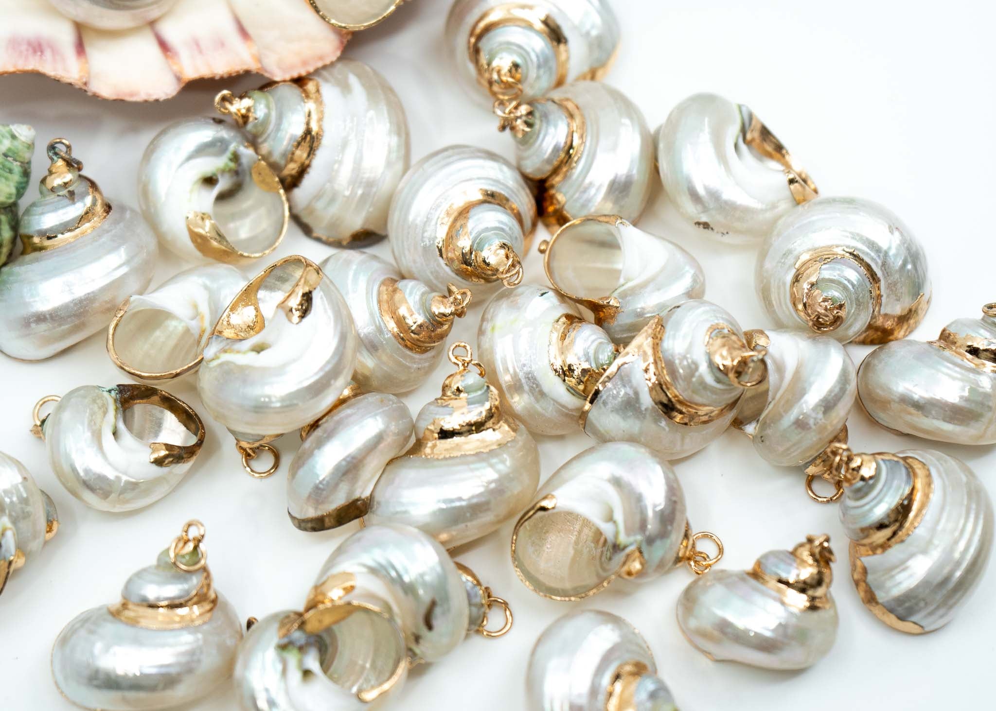 Electroplated Turbo Shells – Nature Beads