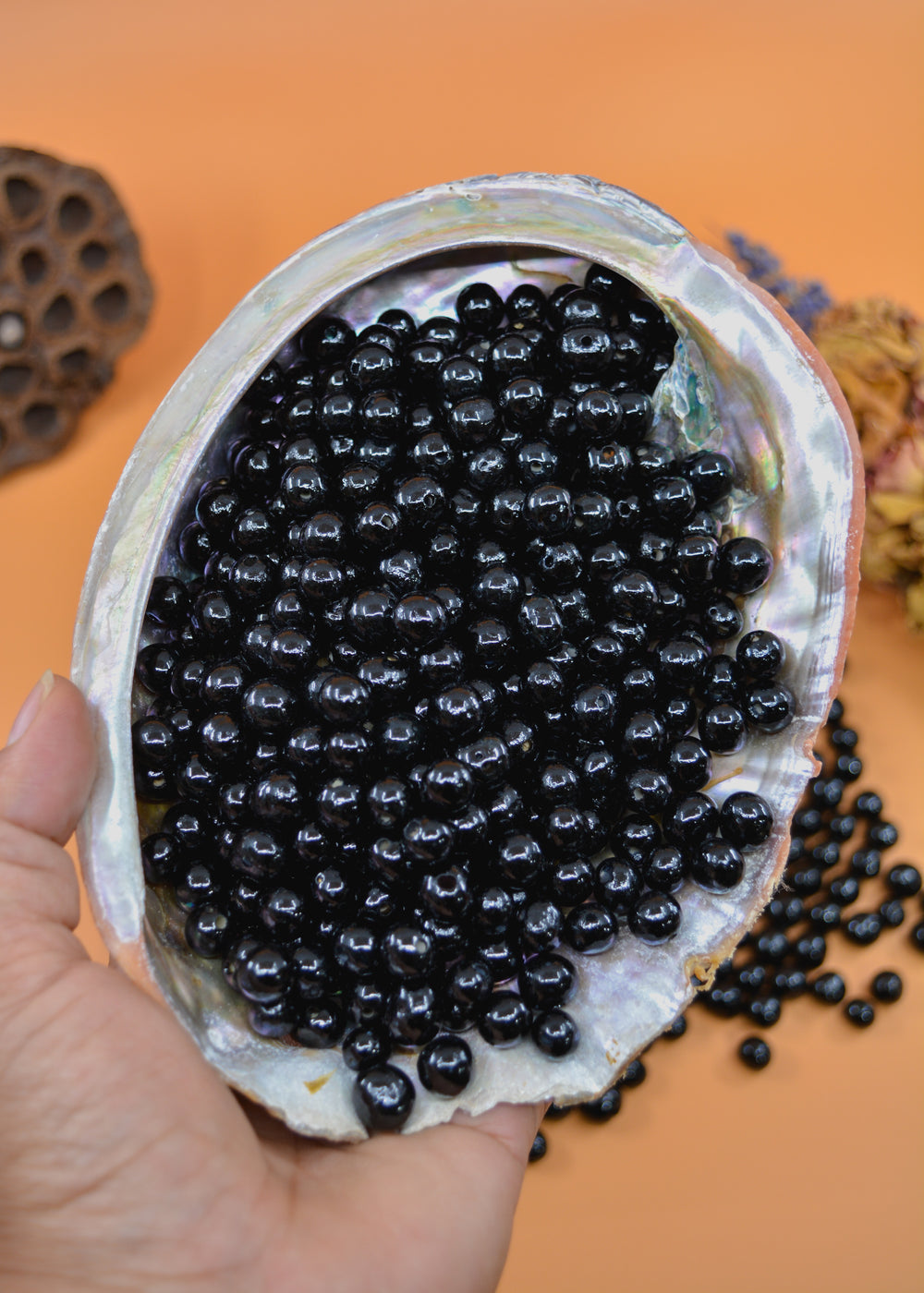 An assortment of Black Acai Beads displayed in a seashell.