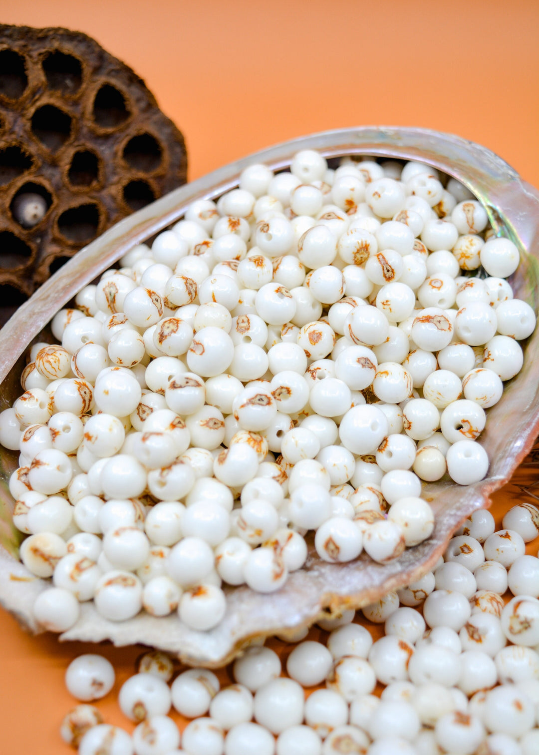 Bright White Acai Beads for Jewelry making