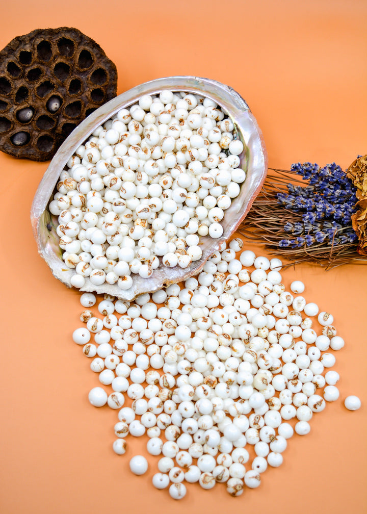 Beautiful collection of Bright White acai beads
