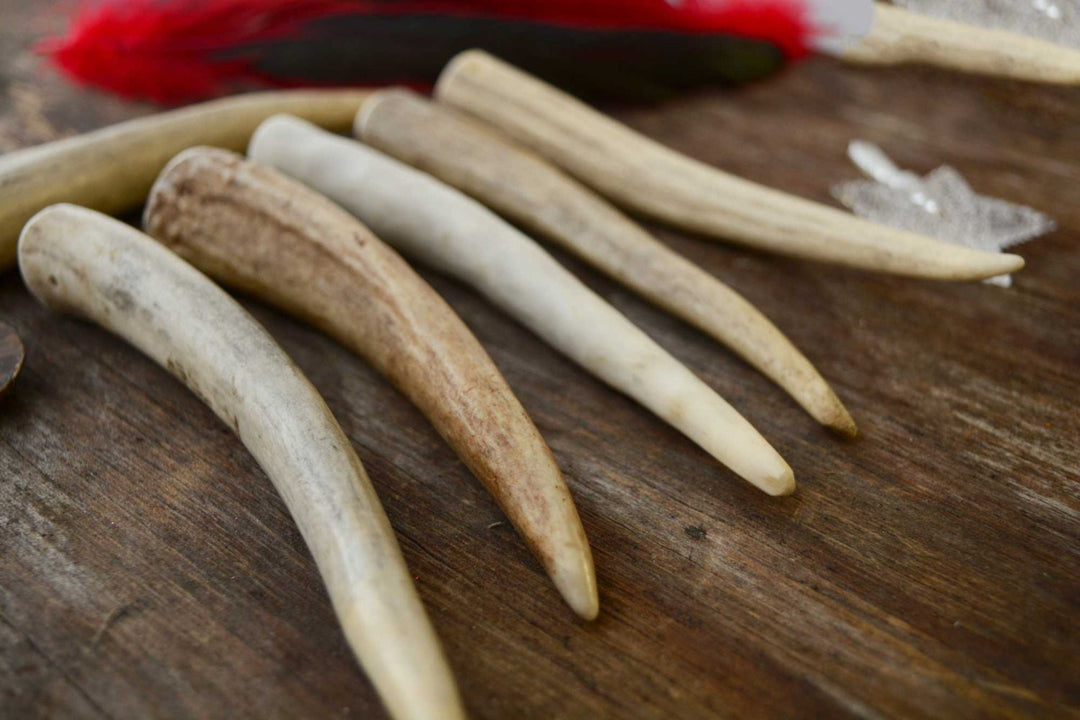 Close-up of Deer Antler Pendants for Necklaces