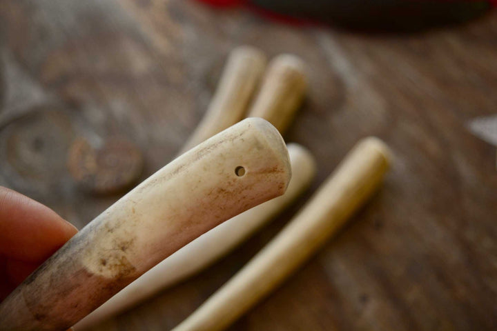 Deer Antler Tusk Pendant