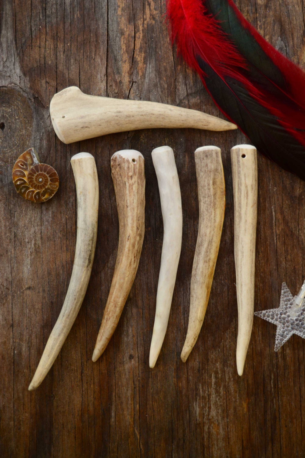 Naturally Shed Deer Antlers 