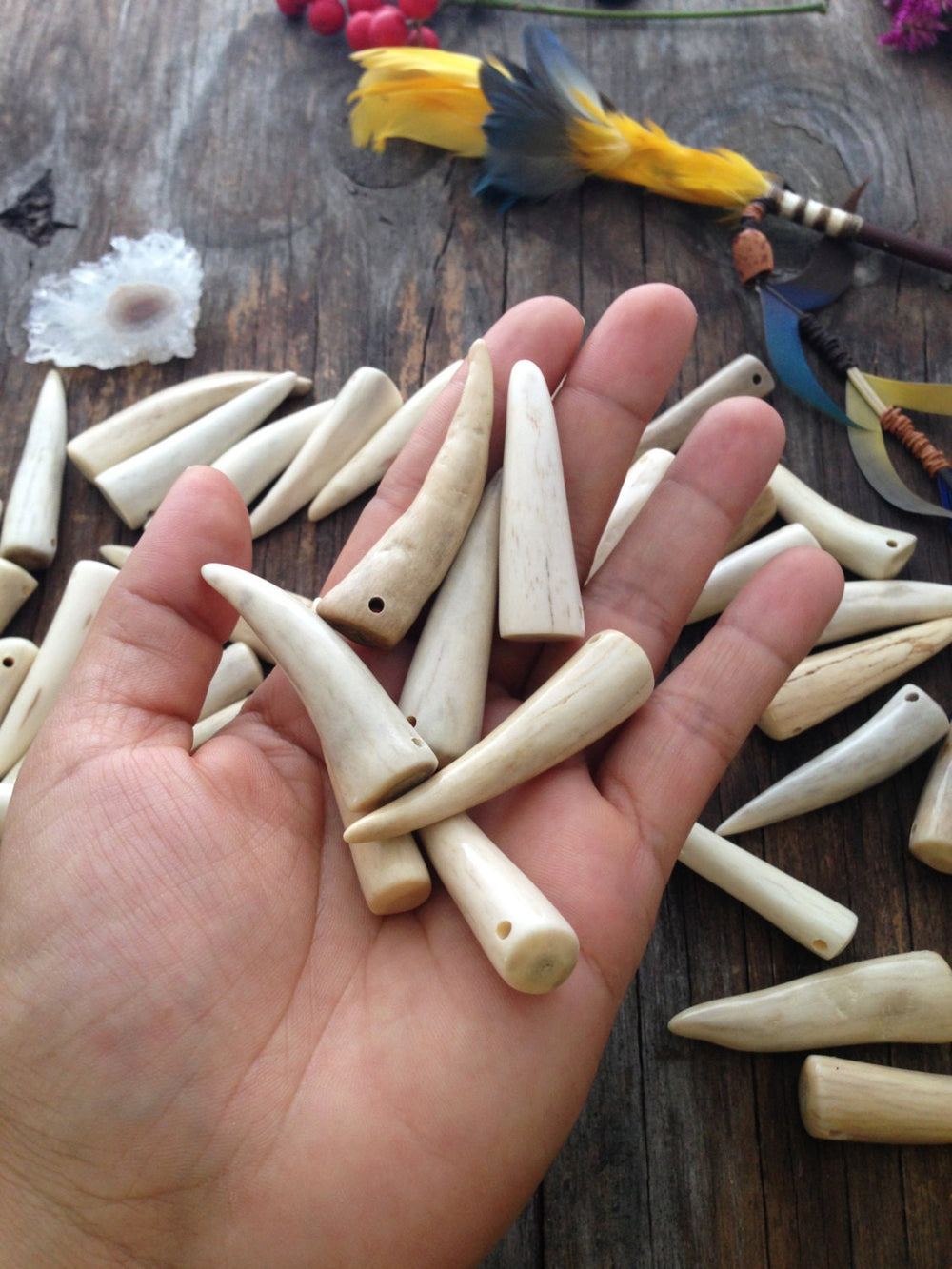 Deer Antler Tip Pendant – Naturally Shed Elk or Deer Antler (1 Piece)