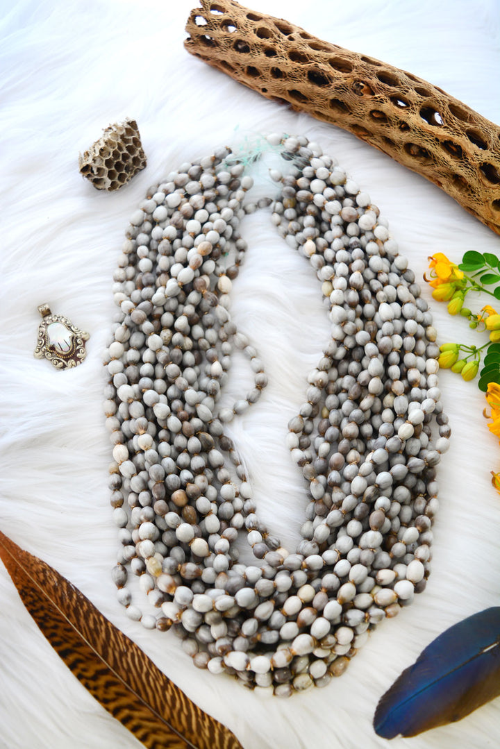 Natural Job’s Tears seed beads in earthy gray neutral tones featuring organic oval botanical beads for boho jewelry making, tribal necklaces, malas, meditation jewelry, mixed media art, and rustic artisan designs.