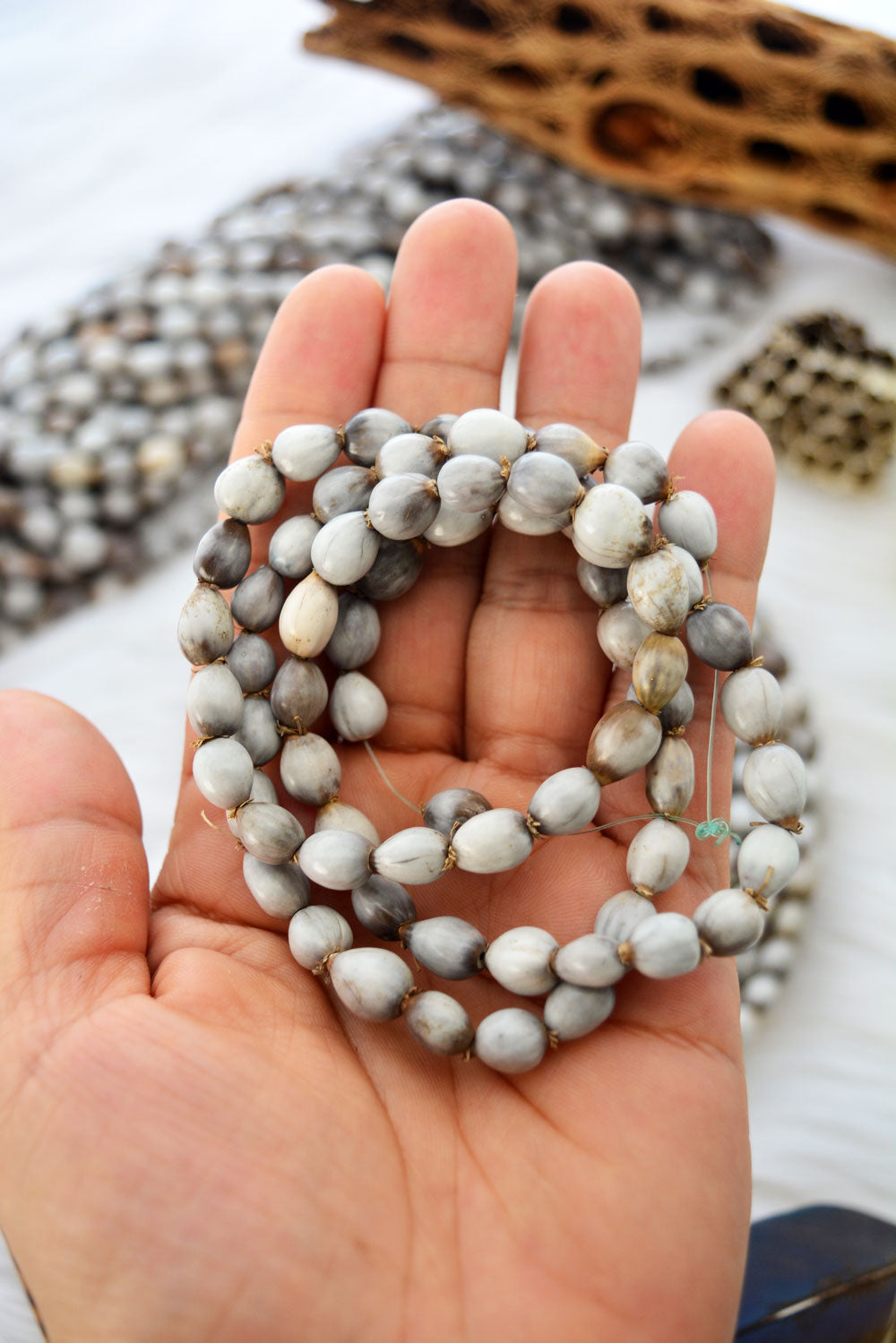Natural Job’s Tears seed beads in earthy gray neutral tones featuring organic oval botanical beads for boho jewelry making, tribal necklaces, malas, meditation jewelry, mixed media art, and rustic artisan designs.