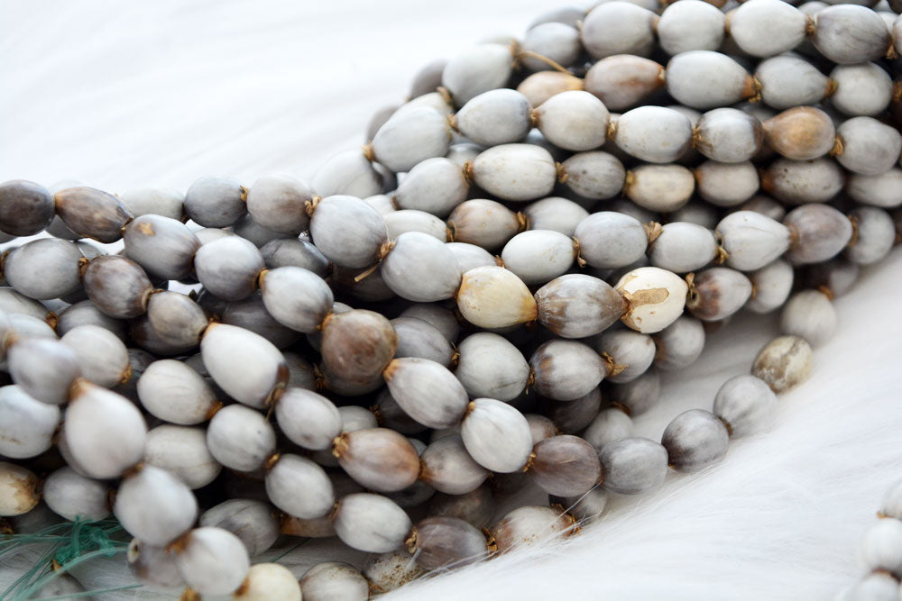 Natural Job’s Tears seed beads in earthy gray neutral tones featuring organic oval botanical beads for boho jewelry making, tribal necklaces, malas, meditation jewelry, mixed media art, and rustic artisan designs.