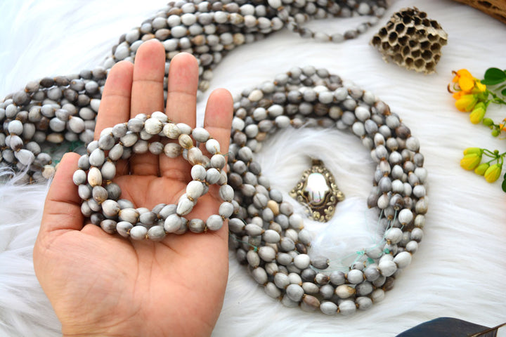 Natural Job’s Tears seed beads in earthy gray neutral tones featuring organic oval botanical beads for boho jewelry making, tribal necklaces, malas, meditation jewelry, mixed media art, and rustic artisan designs.