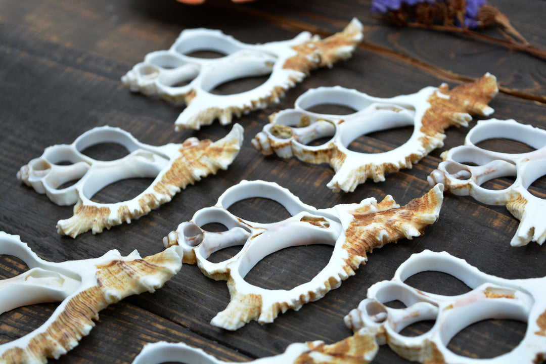 Natural Murex Ramosus shell slices featuring sculptural spiral seashell formations in creamy white and sandy brown tones. Perfect for coastal décor, shell crafts, beach weddings, jewelry making, nautical art, resin projects, and ocean-inspired creations.