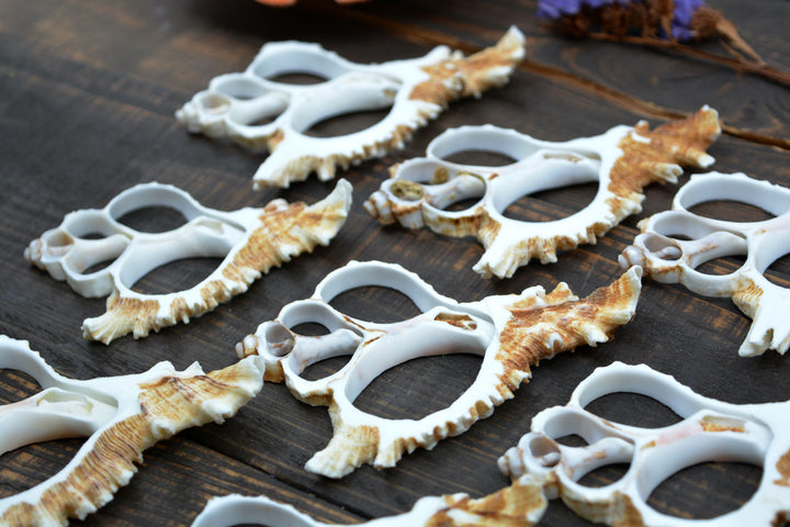 Natural Murex Ramosus shell slices featuring sculptural spiral seashell formations in creamy white and sandy brown tones. Perfect for coastal décor, shell crafts, beach weddings, jewelry making, nautical art, resin projects, and ocean-inspired creations.