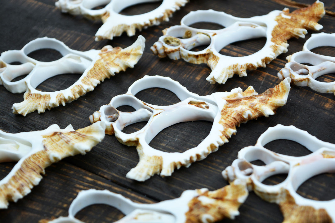 Natural Murex Ramosus shell slices featuring sculptural spiral seashell formations in creamy white and sandy brown tones. Perfect for coastal décor, shell crafts, beach weddings, jewelry making, nautical art, resin projects, and ocean-inspired creations.