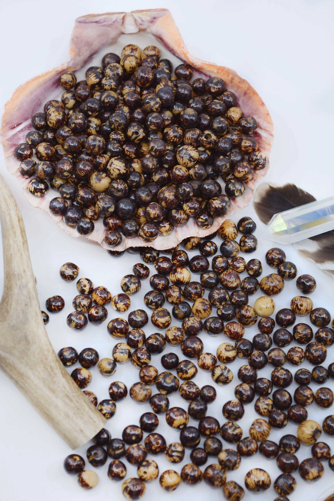 A collection of dark brown polished acai beads of varying sizes, some with a black line pattern, displayed on a white surface with a piece of driftwood and a small container for scale.