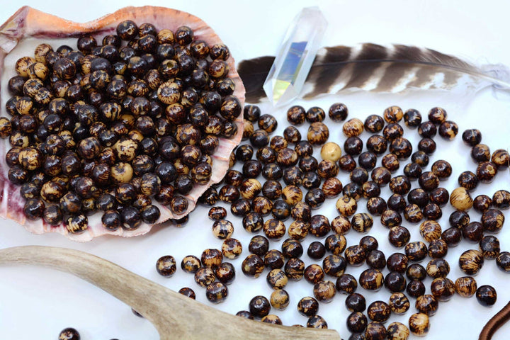 Spread of Natural Acai Beads from the Amazon showing the varying sizes.