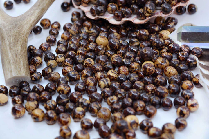 Beautiful assortment of Natural Brown Acai Beads.