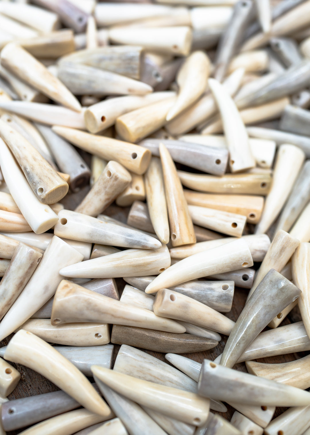 Close-up of different sizes of Deer Antlers