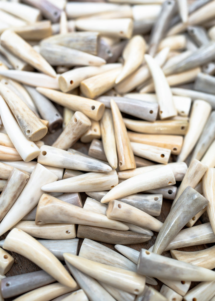Close-up of different sizes of Deer Antlers