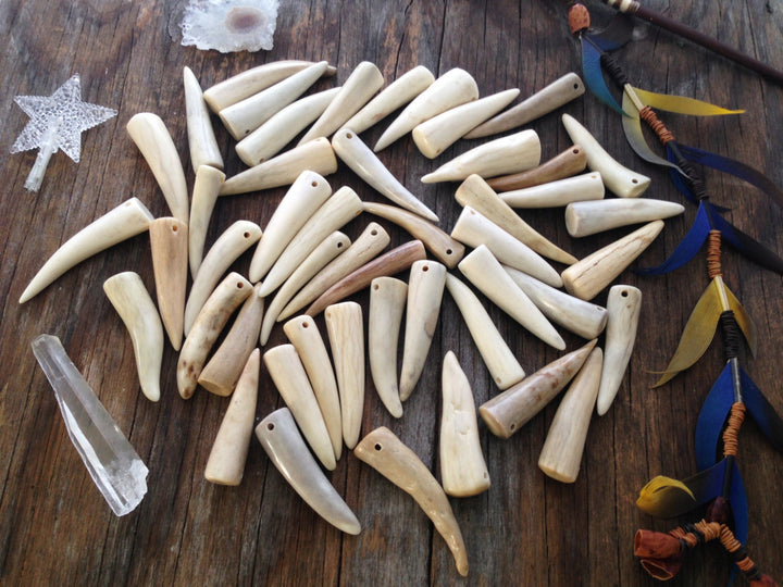A collection of polished deer antler pendants of varying sizes displayed on a wooden surface, with some feathers and a crystal star decoration nearby.