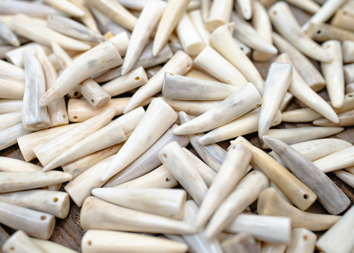 Naturally Shed Deer Antlers