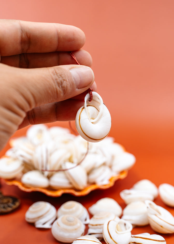 A hand holds a small white seashell pendant with a red string against a warm orange background, with more seashells arranged on a surface below. Obba Begonia land snail.