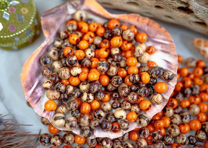A beautiful assortment of natural brown and orange acai beads displayed in a seashell showing the natural black markings.