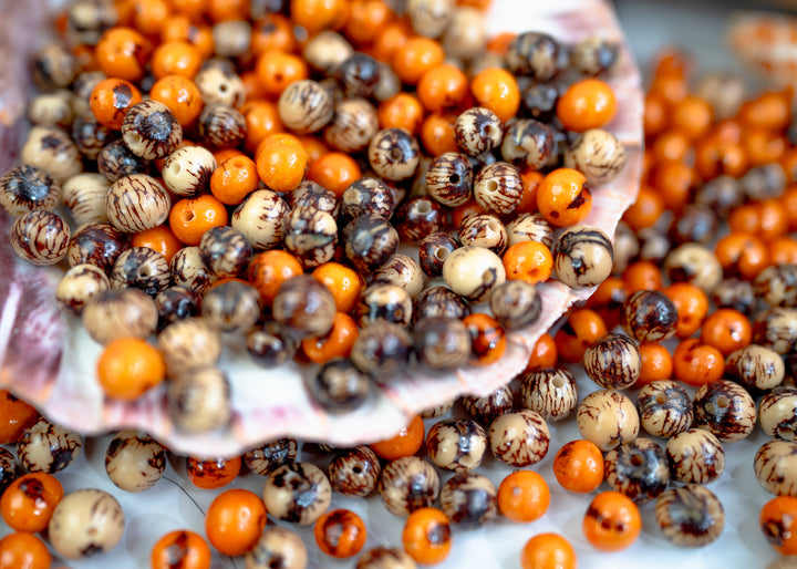 Great assortment of Acai Beads in a seashell showing their natural variance.