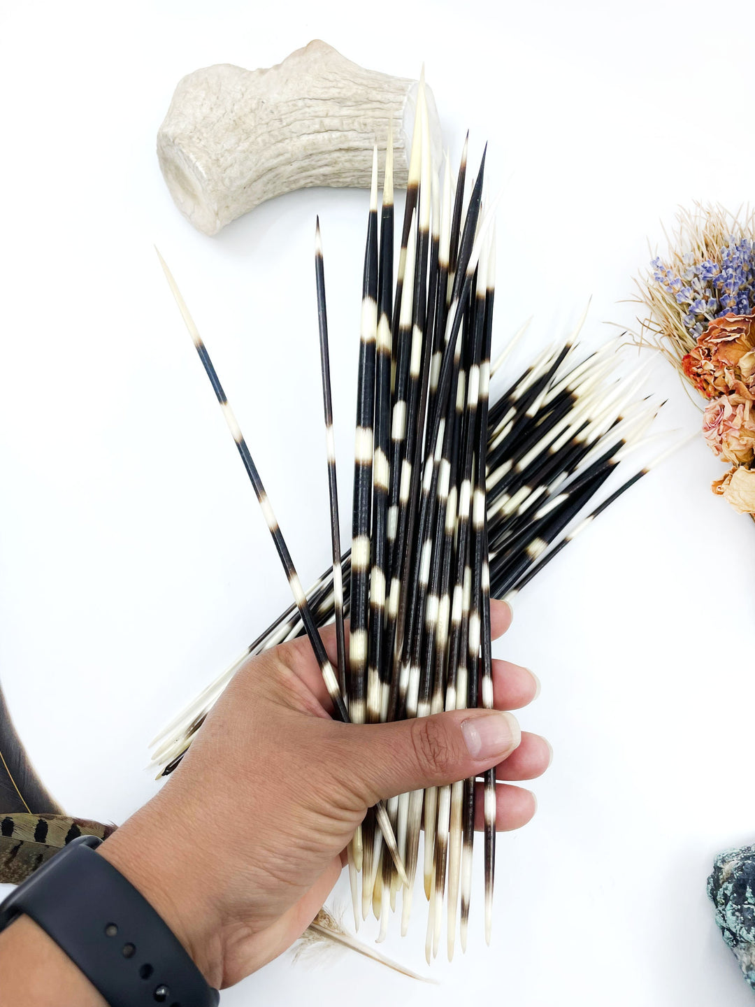 A hand holding a bundle of black, dark brown, and white striped porcupine quills, with various decorative items in the background.