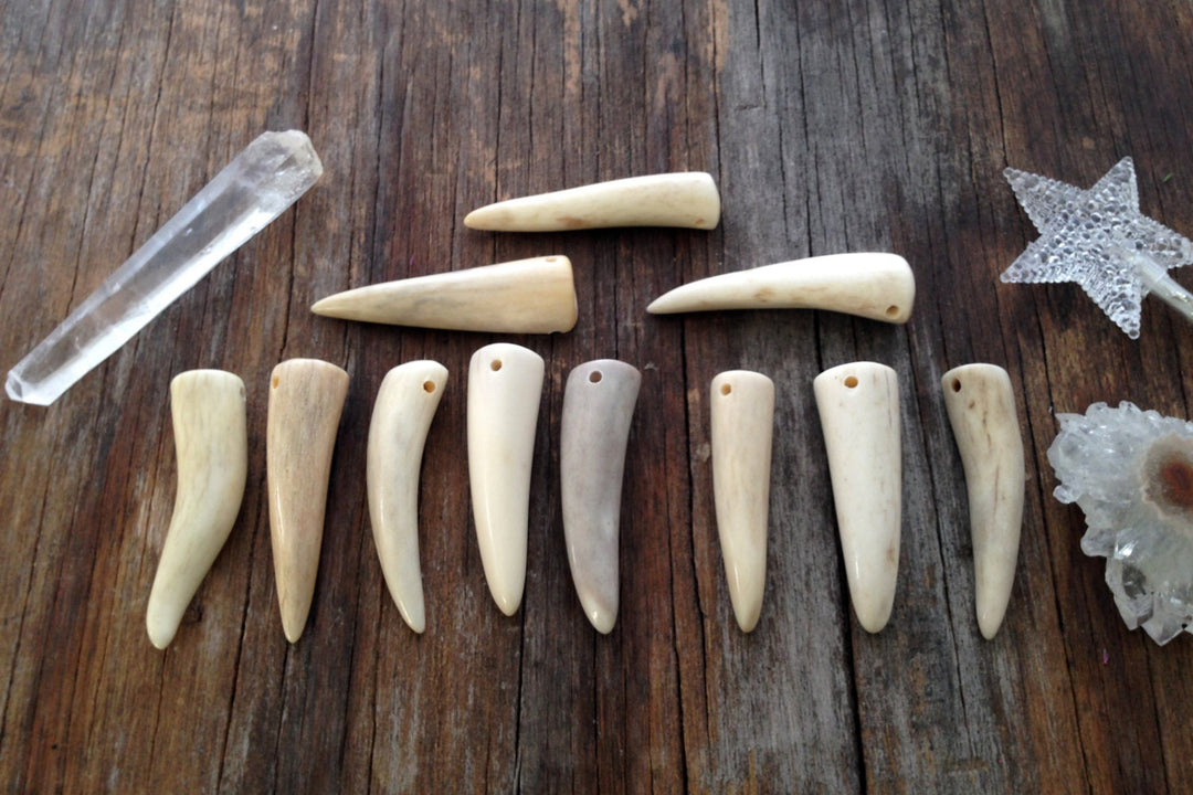 Deer Antler Tip Pendant