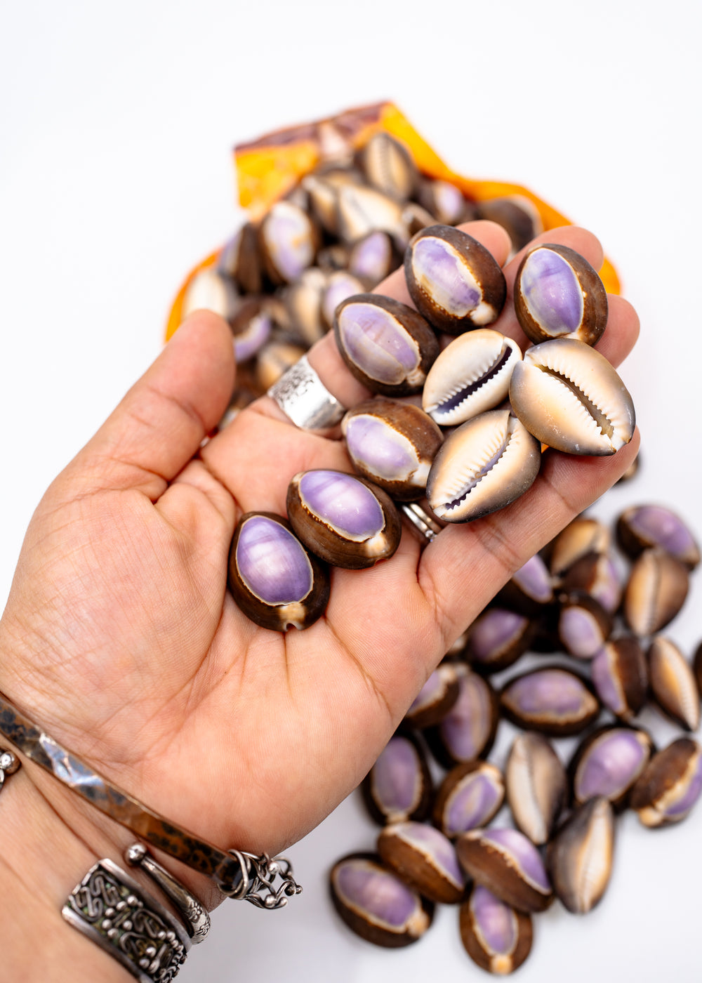 A hand holding and surrounded by small cowrie shells with iridescent purple and cream interiors, with more shells spilled on a white surface. The hand is adorned with silver bracelets and rings.