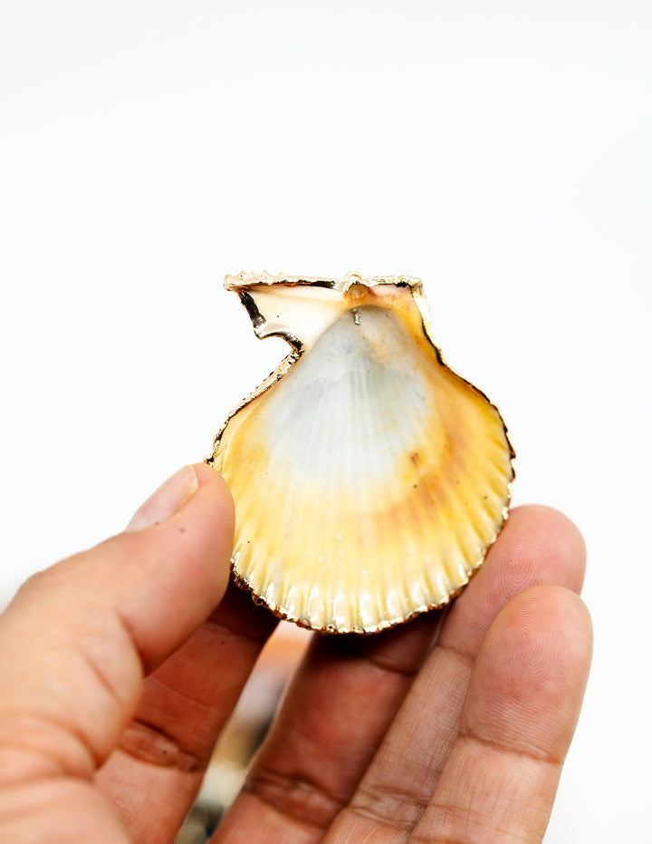 Black Spray Paint Seashell Pendants with Gold Plated Edges, sold by each, Seashell Pendants, Shell Charms, Shell Earrings, Shell Jewelry, Electroplated Shells