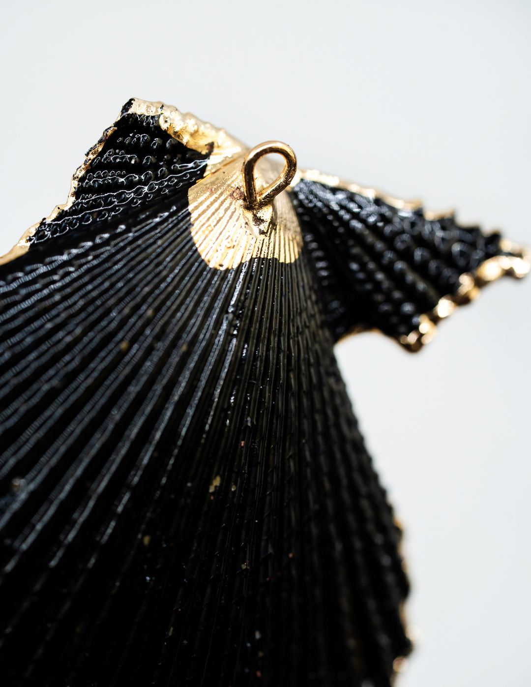Black Spray Paint Seashell Pendants with Gold Plated Edges, sold by each, Seashell Pendants, Shell Charms, Shell Earrings, Shell Jewelry, Electroplated Shells