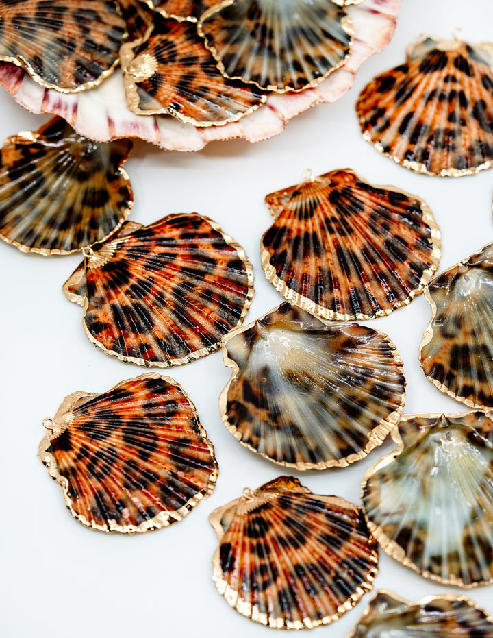 Leopard Print Seashell Pendants with Gold Plated Edges, sold by each, Seashell Pendants, Shell Charms, Shell Earrings, Shell Jewelry, Electroplated Shells