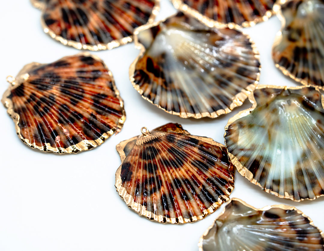 Leopard Print Seashell Pendants with Gold Plated Edges, sold by each, Seashell Pendants, Shell Charms, Shell Earrings, Shell Jewelry, Electroplated Shells