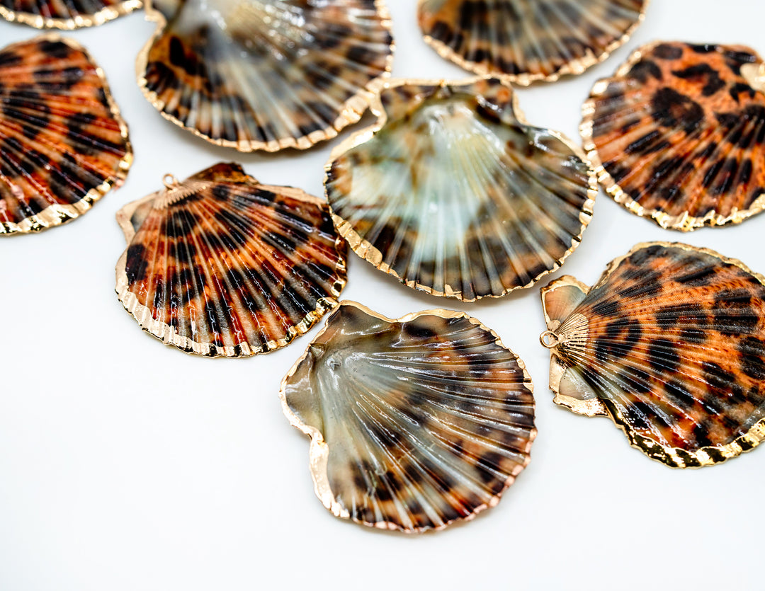 Leopard Print Seashell Pendants with Gold Plated Edges, sold by each, Seashell Pendants, Shell Charms, Shell Earrings, Shell Jewelry, Electroplated Shells