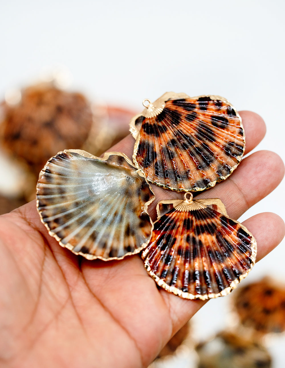 Leopard Print Seashell Pendants with Gold Plated Edges, sold by each, Seashell Pendants, Shell Charms, Shell Earrings, Shell Jewelry, Electroplated Shells