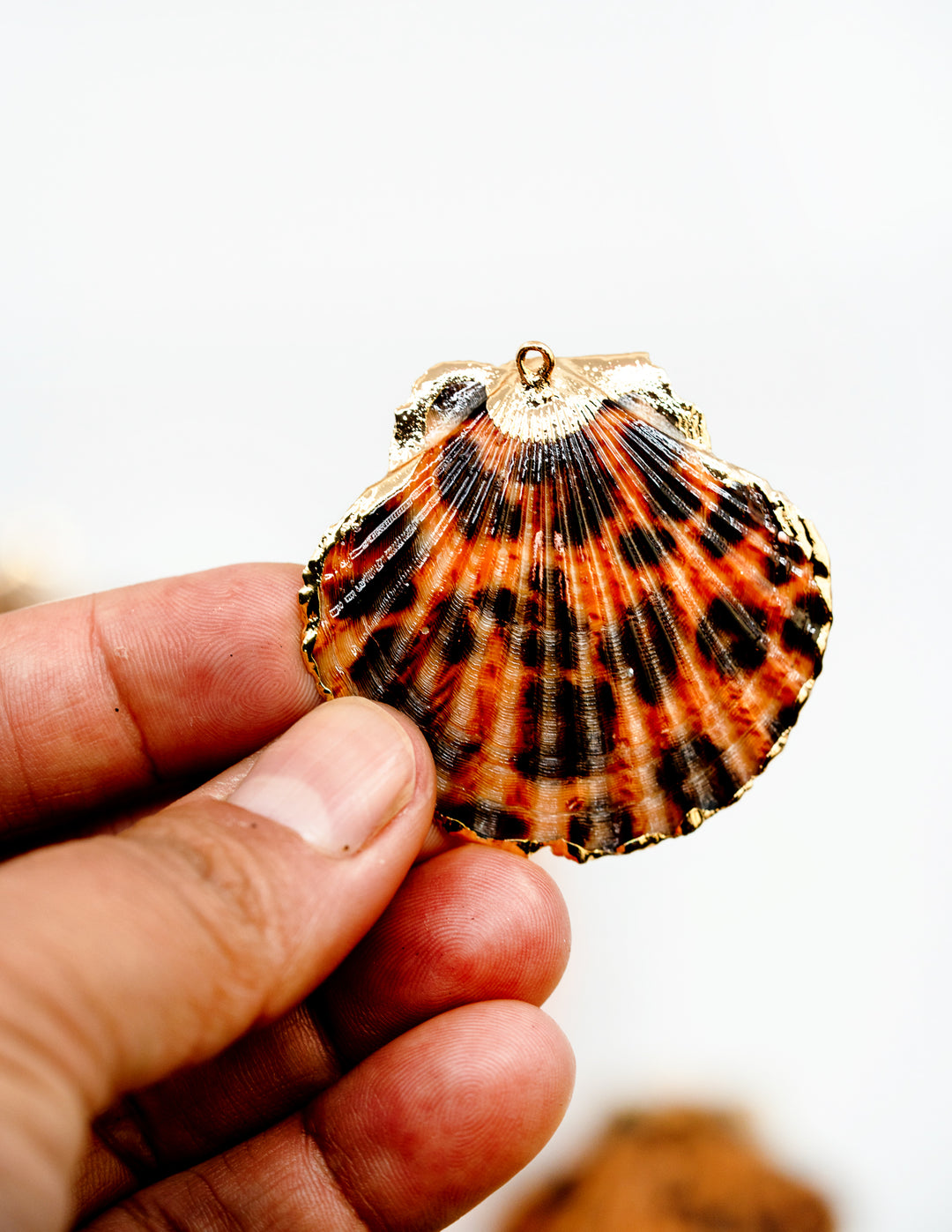 Leopard Print Seashell Pendants with Gold Plated Edges, sold by each, Seashell Pendants, Shell Charms, Shell Earrings, Shell Jewelry, Electroplated Shells