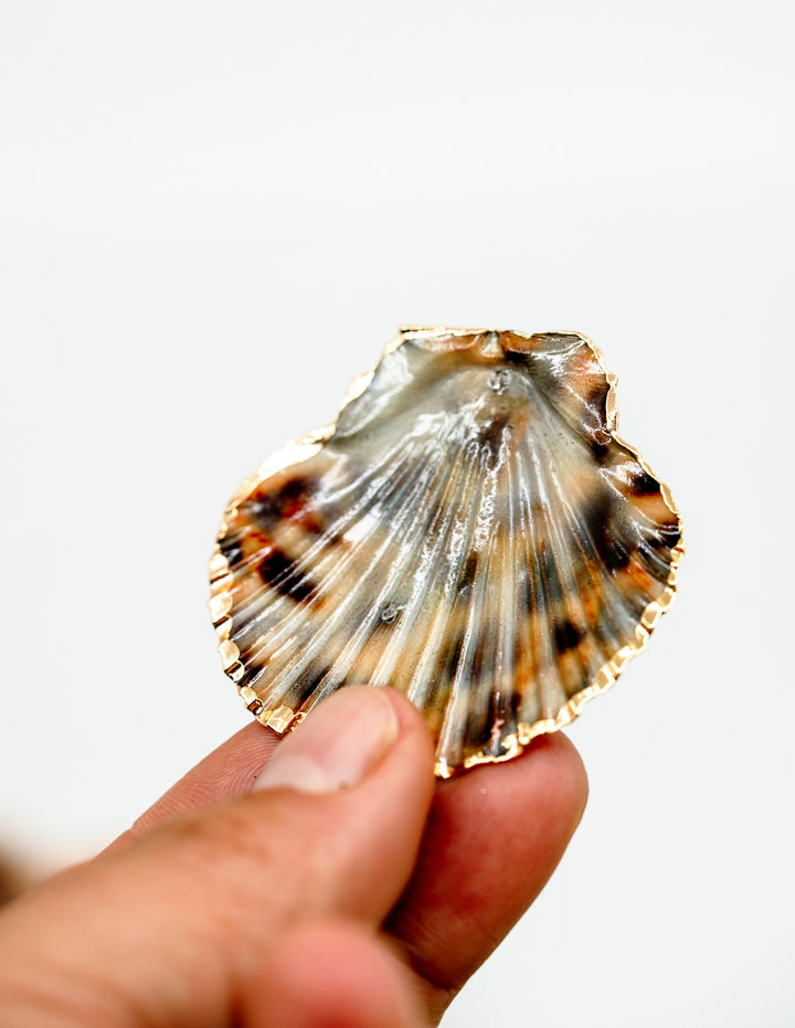 Leopard Print Seashell Pendants with Gold Plated Edges, sold by each, Seashell Pendants, Shell Charms, Shell Earrings, Shell Jewelry, Electroplated Shells