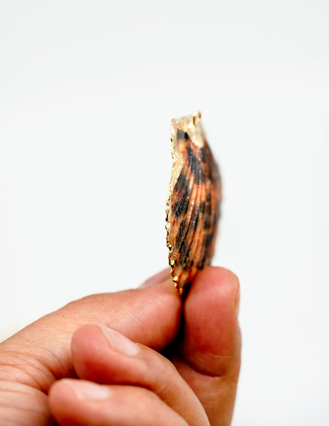 Leopard Print Seashell Pendants with Gold Plated Edges, sold by each, Seashell Pendants, Shell Charms, Shell Earrings, Shell Jewelry, Electroplated Shells