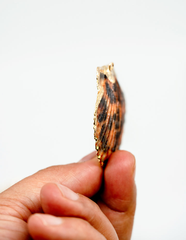 Leopard Print Seashell Pendants with Gold Plated Edges, sold by each, Seashell Pendants, Shell Charms, Shell Earrings, Shell Jewelry, Electroplated Shells