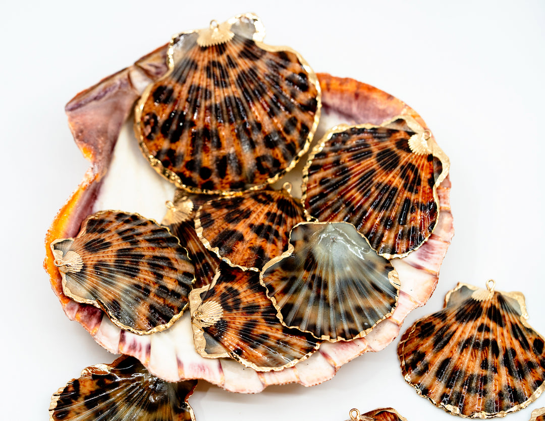Leopard Print Seashell Pendants with Gold Plated Edges, sold by each, Seashell Pendants, Shell Charms, Shell Earrings, Shell Jewelry, Electroplated Shells