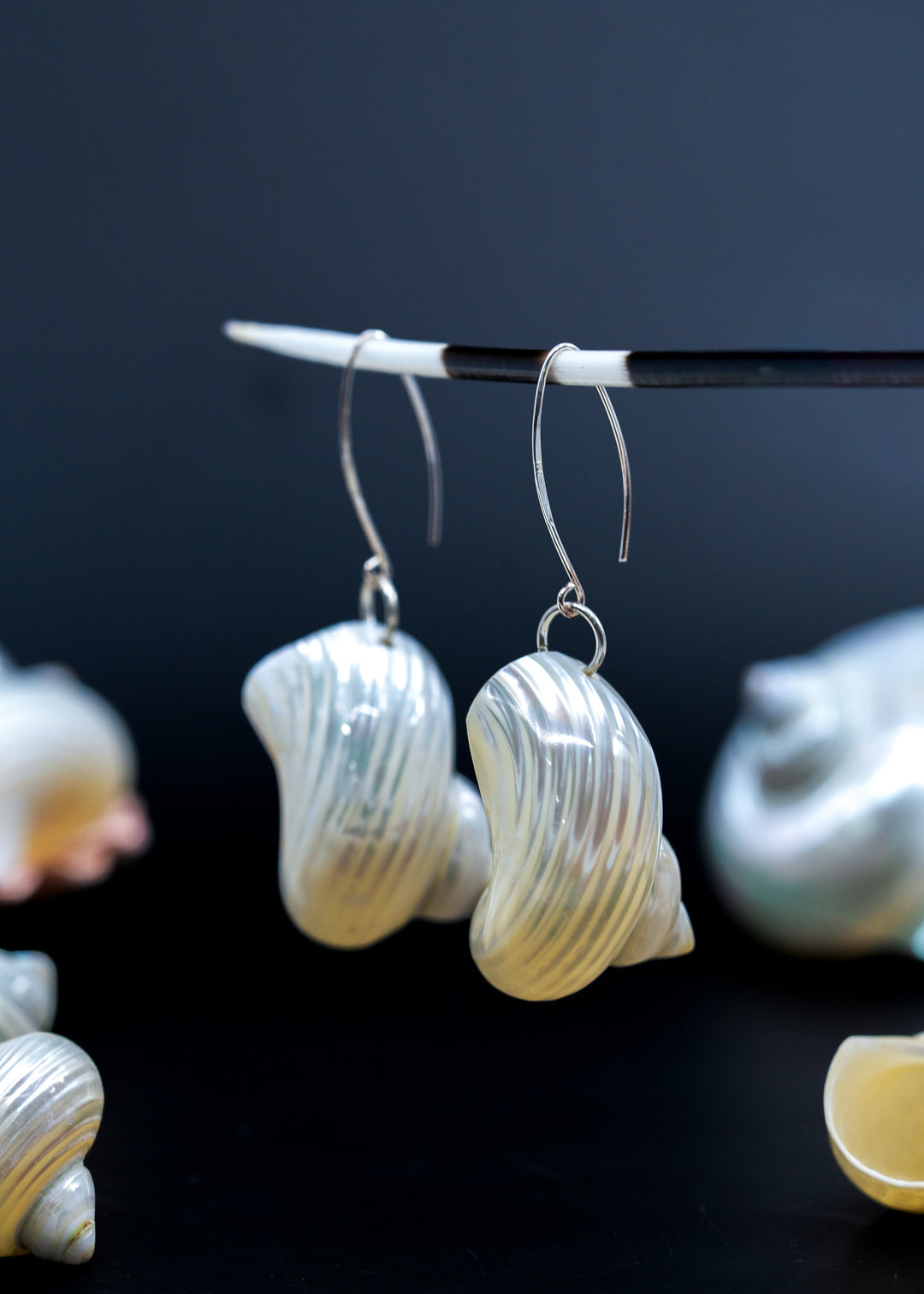 Top Drilled Turbo Shell Pendant, Pearlized Delphinula Shell for Jewelry Making, Coastal Shell Charm, Beach Jewelry Supply