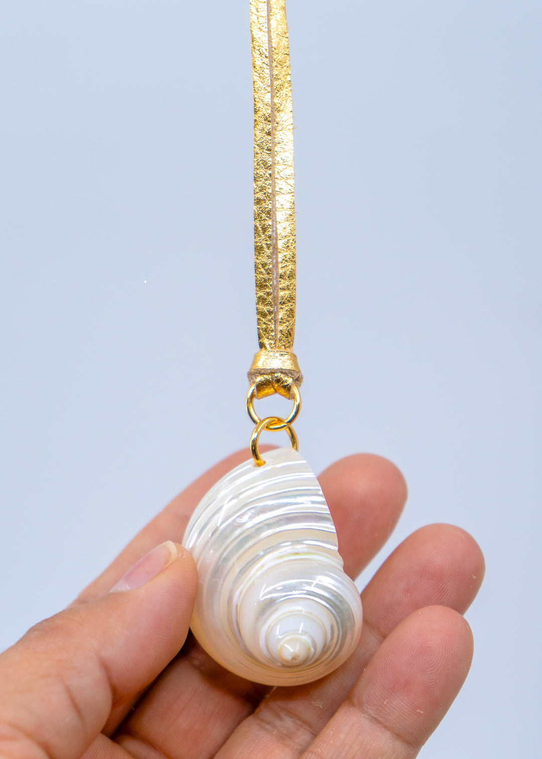 Top Drilled Turbo Shell Pendant, Pearlized Delphinula Shell for Jewelry Making, Coastal Shell Charm, Beach Jewelry Supply