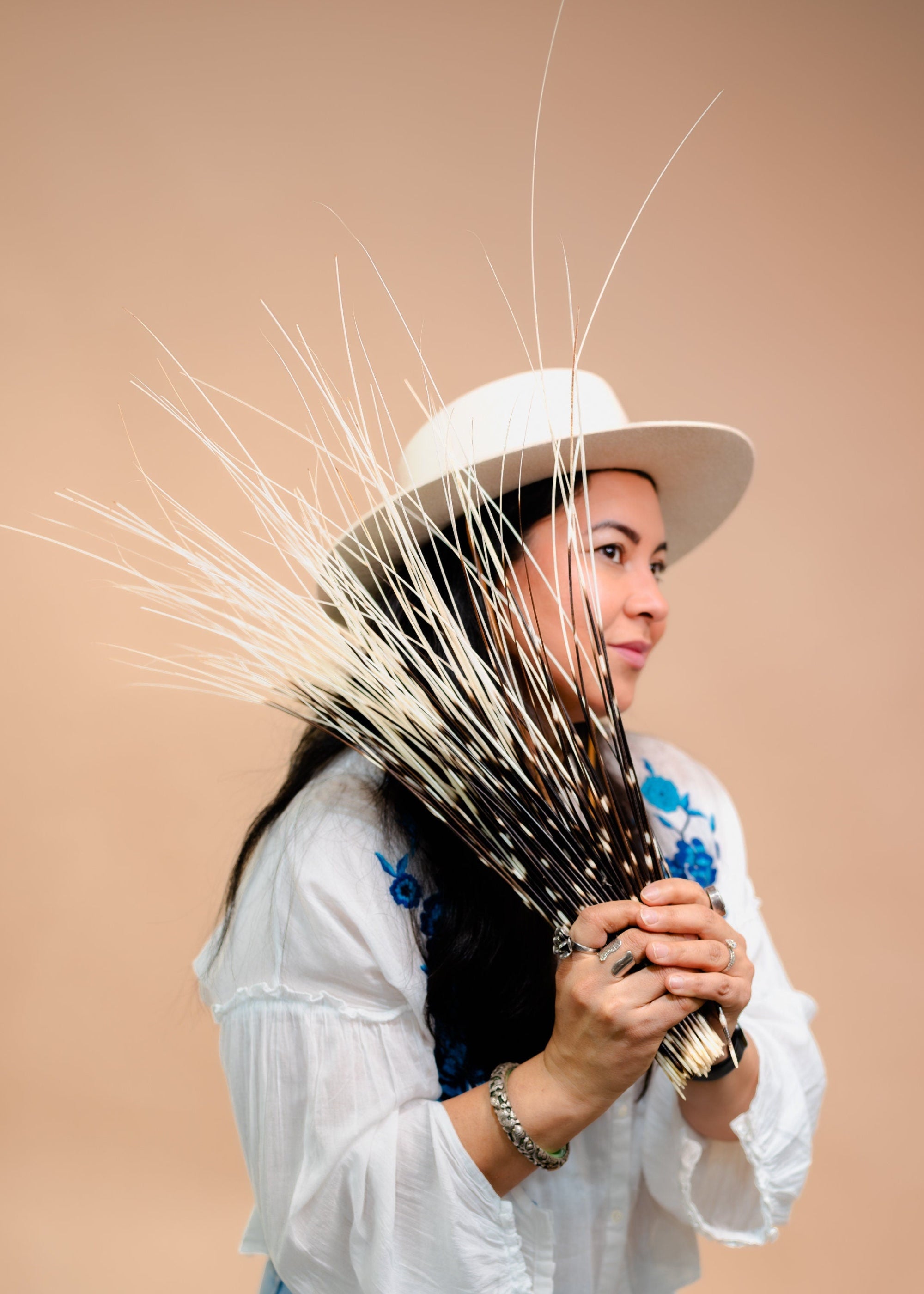 Extra long Porcupine Quills for decoration.