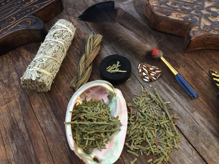 Smudge Kit: Cleaning, Meditation, Positive Energy (Sage, Sweetgrass, Flat Cedar, Abalone Shell, Quick-lite Charcoal, Mini Fan)
