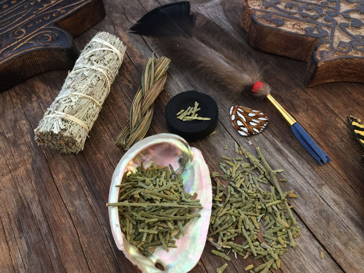 Smudge Kit: Cleaning, Meditation, Positive Energy (Sage, Sweetgrass, Flat Cedar, Abalone Shell, Quick-lite Charcoal, Mini Fan)