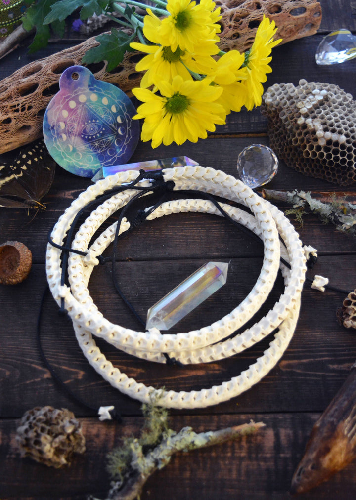 The Brianna Chocker in White: Real White Snake Vertebrae Choker Necklace, 7-12mm, 18 inches necklace, Bohemian, Juju, Oddities