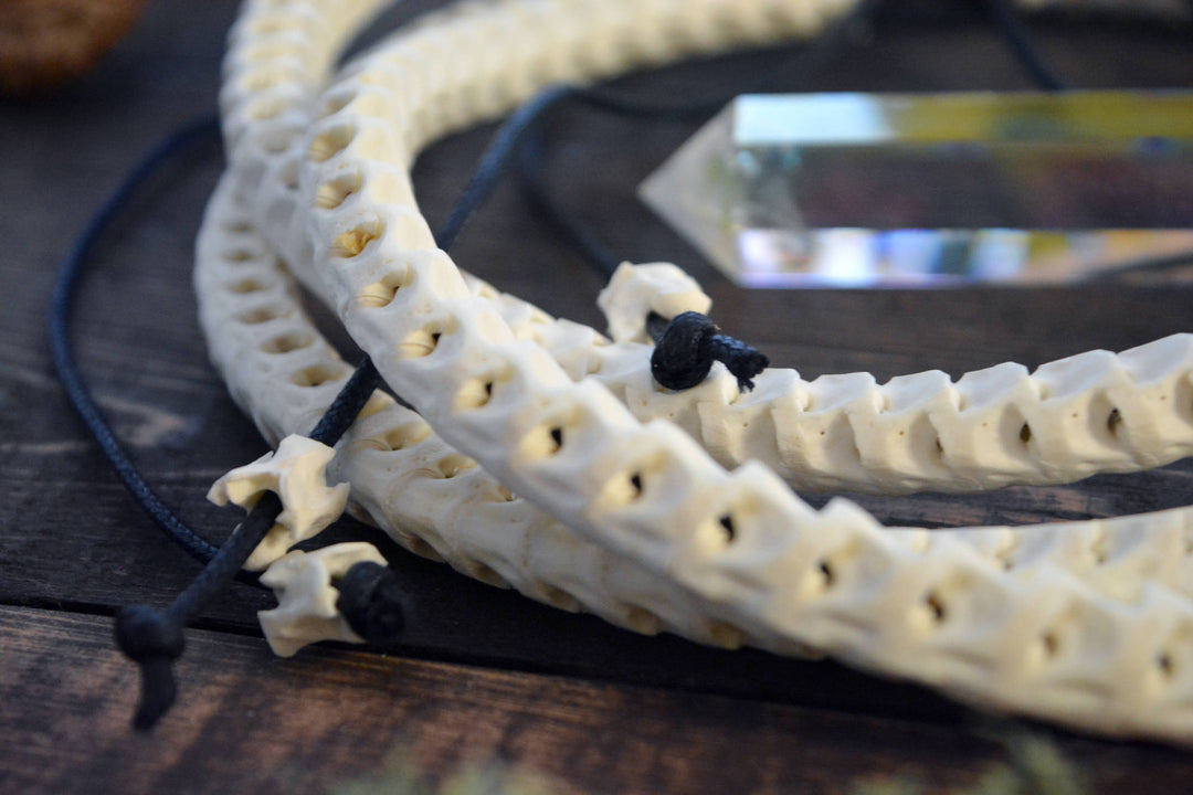 The Brianna Chocker in White: Real White Snake Vertebrae Choker Necklace, 7-12mm, 18 inches necklace, Bohemian, Juju, Oddities