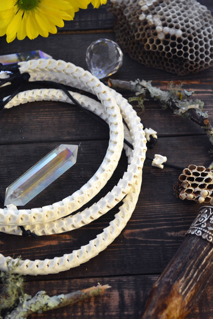 The Brianna Chocker in White: Real White Snake Vertebrae Choker Necklace, 7-12mm, 18 inches necklace, Bohemian, Juju, Oddities