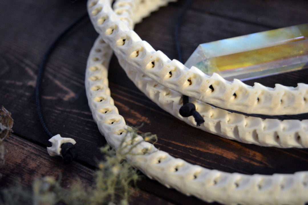 The Brianna Chocker in White: Real White Snake Vertebrae Choker Necklace, 7-12mm, 18 inches necklace, Bohemian, Juju, Oddities