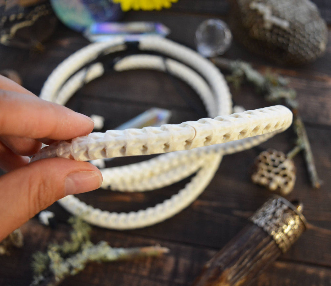 The Brianna Chocker in White: Real White Snake Vertebrae Choker Necklace, 7-12mm, 18 inches necklace, Bohemian, Juju, Oddities