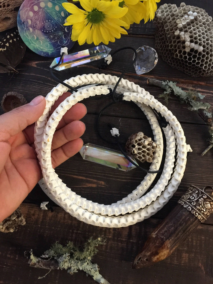 The Brianna Chocker in White: Real White Snake Vertebrae Choker Necklace, 7-12mm, 18 inches necklace, Bohemian, Juju, Oddities